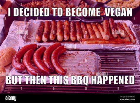 memes vegan|vegan memes for meat eaters.